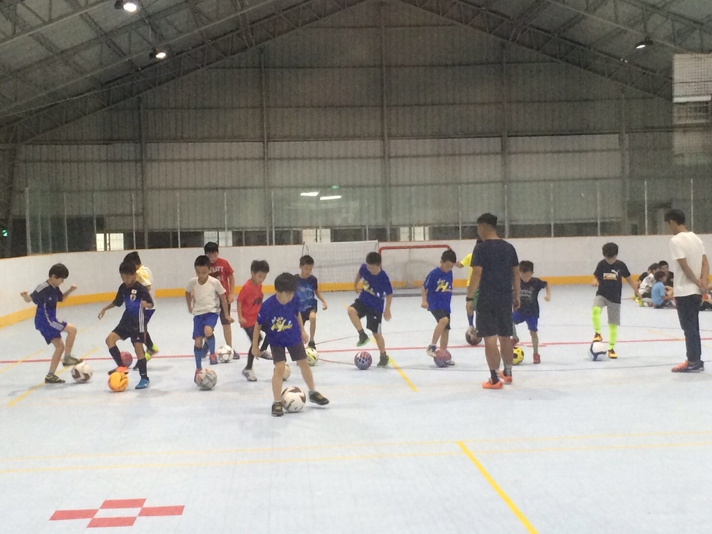 S__39084110.jpg S__39084110.jpg