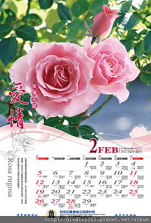 2月-玫瑰.jpg