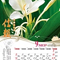 9月-野薑花.jpg