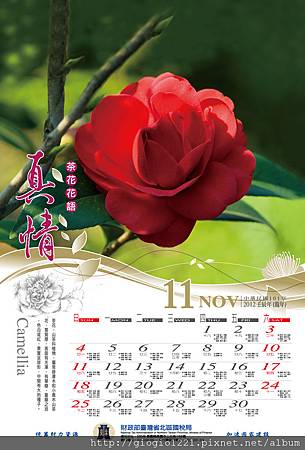 11月-茶花.jpg