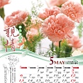 5月-康乃馨.jpg