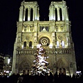 25聖誕期間晚上的巴黎聖母院.jpg