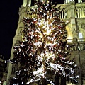 26巴黎聖母院前的大聖誕樹.jpg