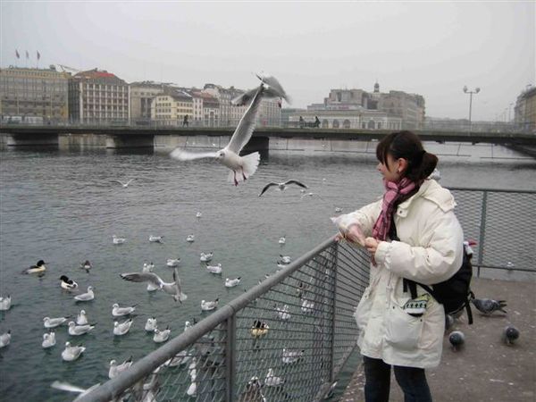 0874 日內瓦湖.jpg