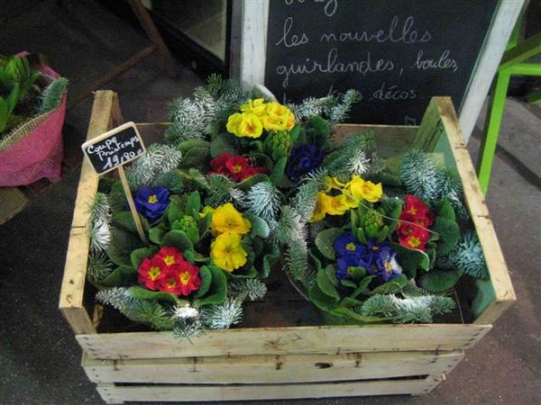 1027 好像假的一樣...真可愛耶.jpg