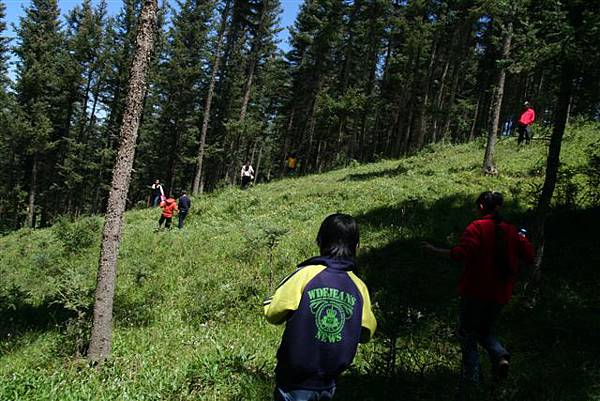 [恬恬攝] 下山, 陡得要命, 很怕會摔死