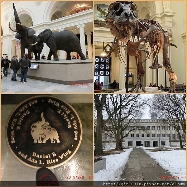 2015.02.09 The Field Museum