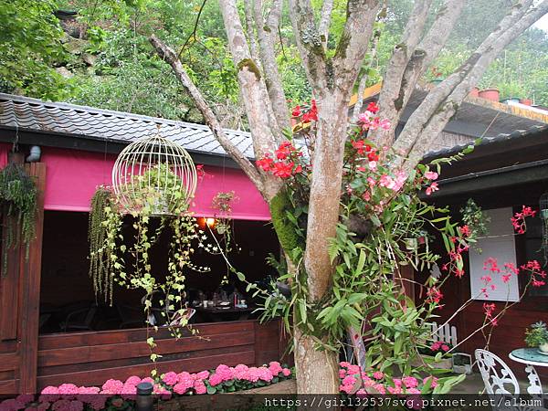 南庄碧絡角花園咖啡 (12).JPG 南庄碧絡角花園咖啡 (12).JPG