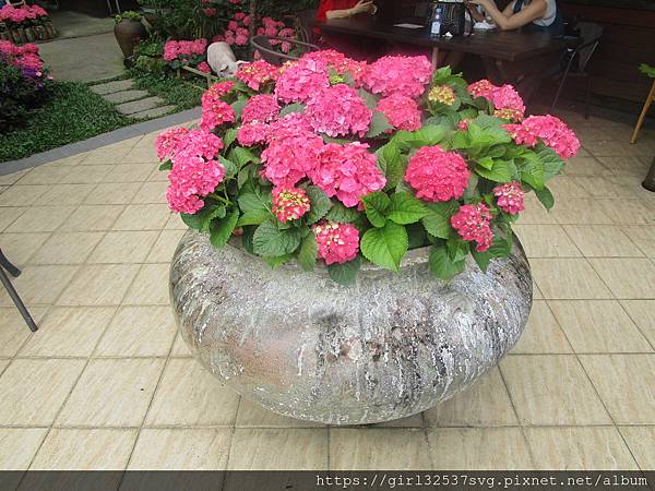 南庄碧絡角花園咖啡 (23).JPG 南庄碧絡角花園咖啡 (23).JPG