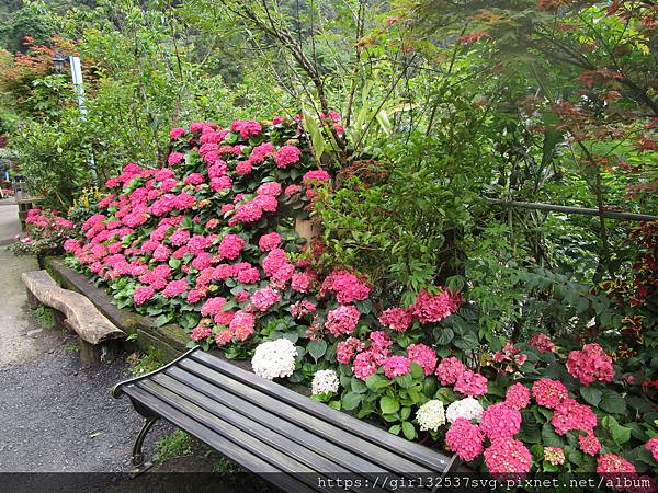 南庄碧絡角花園咖啡 (22).JPG 南庄碧絡角花園咖啡 (22).JPG