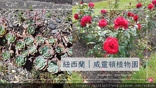 威靈頓植物園.png 威靈頓植物園.png