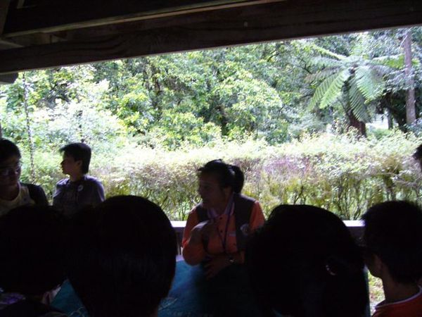 P1060561.JPG