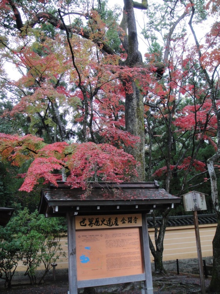 DSC04205.JPG