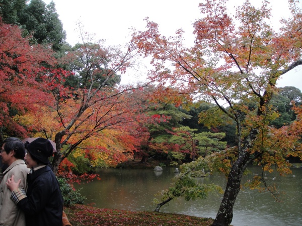 DSC04243.JPG