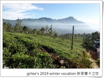 NLCL5644.JPG NLCL5644.JPG