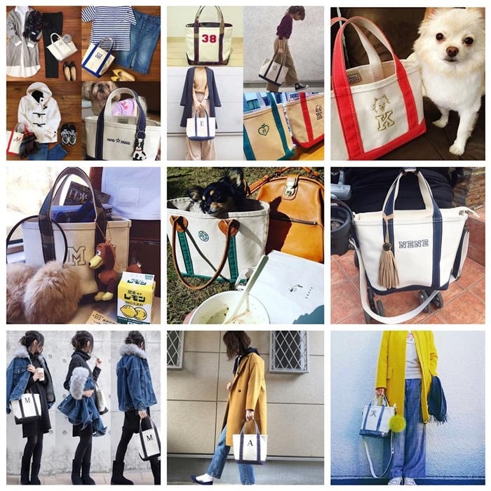 58933424_2066280346997605_5389520263773683712_n.jpg 58933424_2066280346997605_5389520263773683712_n.jpg