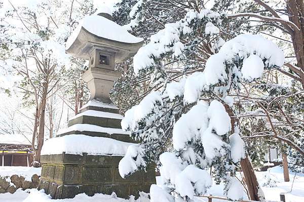 10種必備 冬天玩日本北海道保暖服裝篇少帶這些肯定會讓你gg叫 貝蒂女孩日記 痞客邦