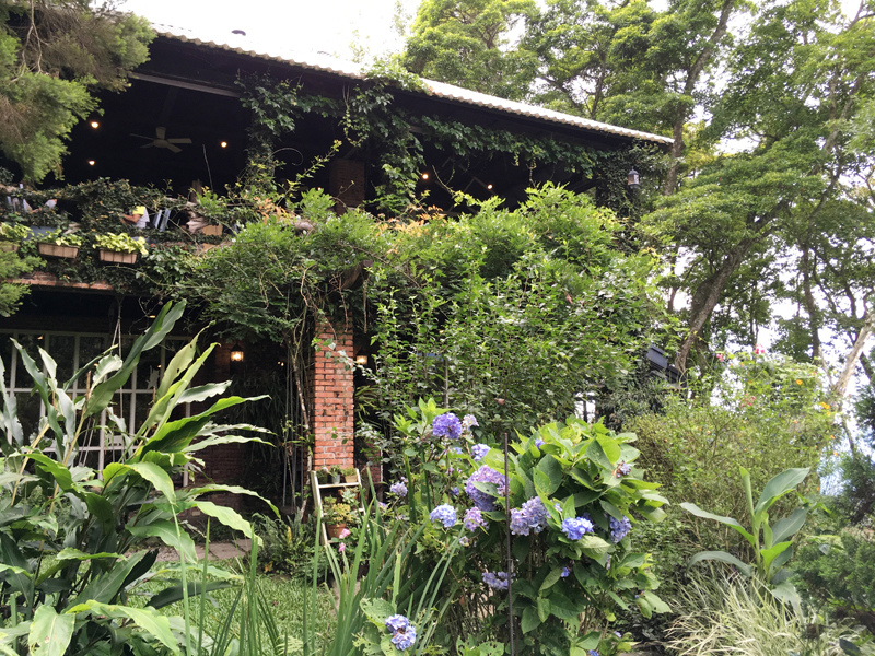 新竹尖石景觀餐廳六號花園