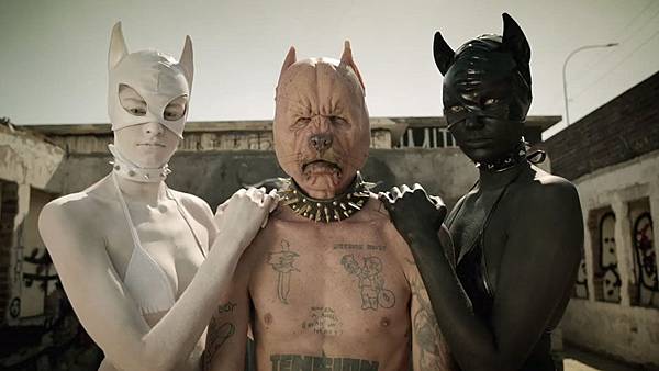 die-antwoord-pitbull-terrier-1