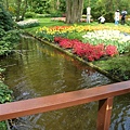 keukenhof (18).JPG