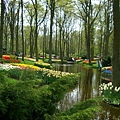 keukenhof (41).JPG