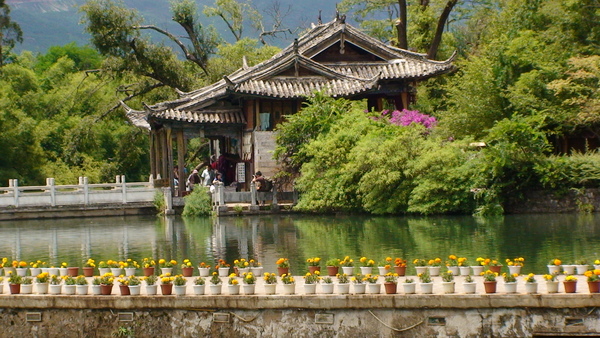 美麗的公園