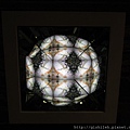 IMG_4562.JPG
