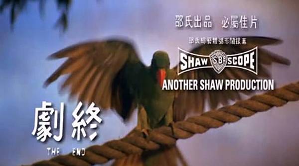 1981 Bloody Parrot 血鸚鵡.JPG