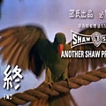 1981 Bloody Parrot 血鸚鵡.JPG