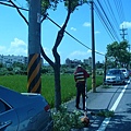P1090173.JPG