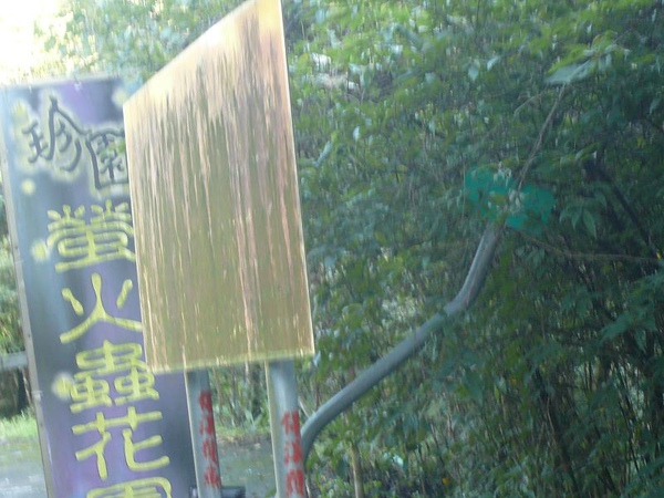 P1160614.JPG
