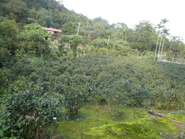 P1160679.JPG