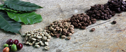 story9-bg.jpg story9-bg.jpg