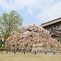 東京博物館1.JPG