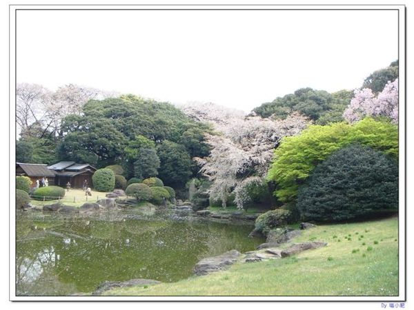 東京博物館4.jpg