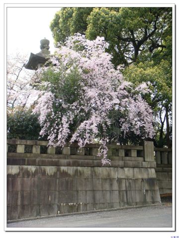 靖國神社2.jpg