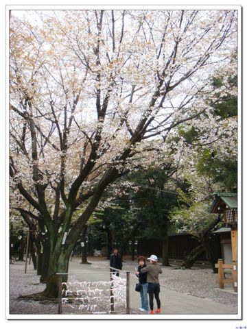 靖國神社7.jpg