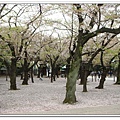 靖國神社10.jpg