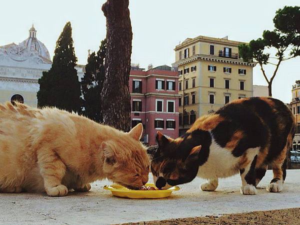 10339555_10207325883174115_5604335209426326298_n.jpg 10339555_10207325883174115_5604335209426326298_n.jpg