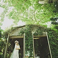 高雄屏東婚紗風格:魔法森林樹屋