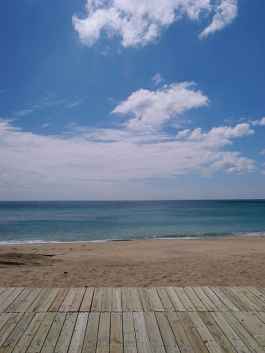 R0019159a.jpg R0019159a.jpg