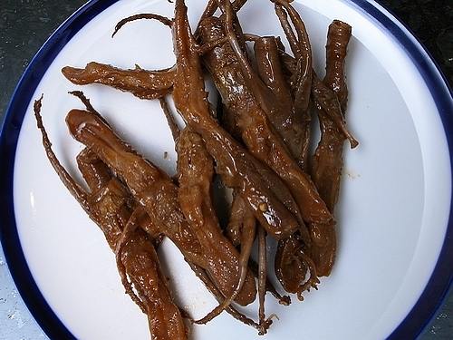 R0022528k.jpg R0022528k.jpg