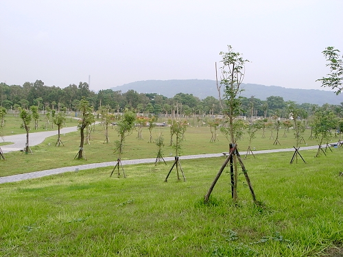 R0020375a.jpg R0020375a.jpg