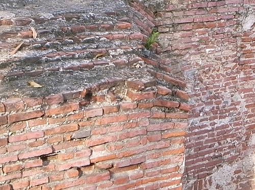 R0021009a.jpg R0021009a.jpg