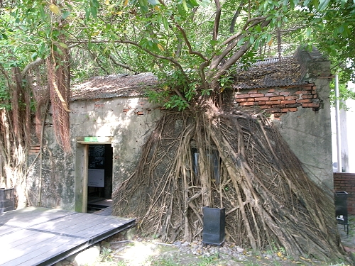 R0021657a.jpg R0021657a.jpg
