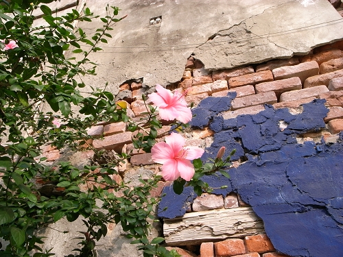 R0022113a.jpg R0022113a.jpg