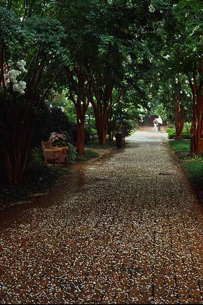 亞特蘭大植物園