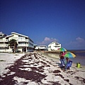 2006_09_Cedar key0003.jpg