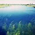 2006_11_Everglades0003.jpg