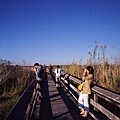 2006_11_Everglades0014.jpg